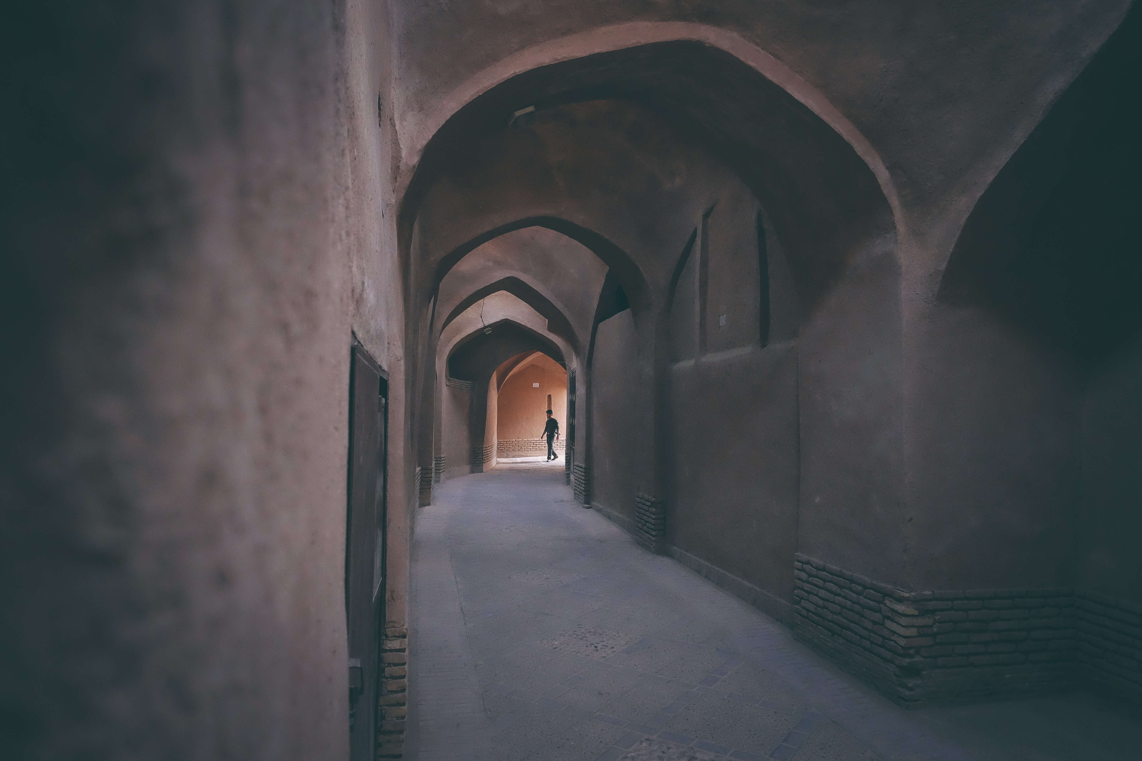 sander-van-dijk-211165 (1)